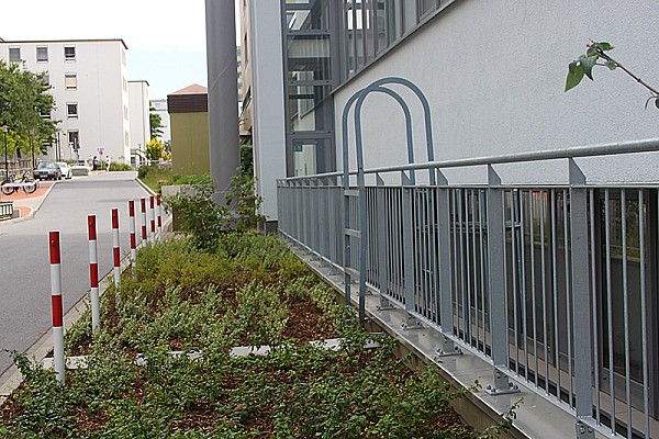 Zäune und Absperrungen
